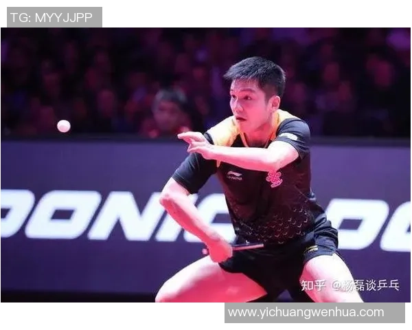 武汉乒乓球队的节奏与发展趋势深度解析及未来展望
